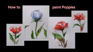 How to paint flowers Poppies in line and wash watercolor Peter Sheeler [upl. by Wilkinson]