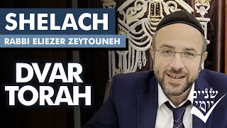 Shnayim Yomi  Shelach  Dvar Torah 5784 [upl. by Conchita]