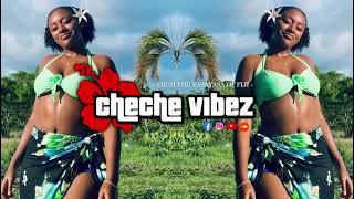 Akiliz x Moto  Afrojive  21 ronz x Cheche VibeZ  Remiix 2024 [upl. by Wasserman644]