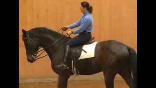 More indepth skeletal riding and obtaining flexion With Catherine Haddad [upl. by Netsriik]