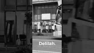 Delilah  Lygon St Brunswick East curlyhair drycutting [upl. by Dixil57]