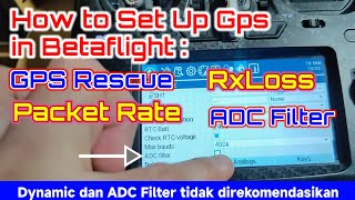 Set Up GPS in Betaflight GPS Rescue RxLoss Adc FilterTX RX PacketRate Dynamic 50Hz 150Hz TBS [upl. by Kalbli505]