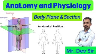 Body Planes And Section in Hindi  Body Patlane by Dev Sir  Study Help And Health [upl. by Innob]