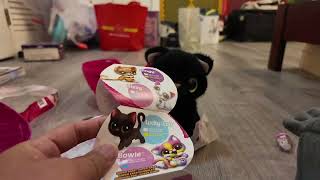 Batty Adopts a Catnot real lol Zuru Pets Alive Smitten Kittens Unboxing [upl. by Bernat842]