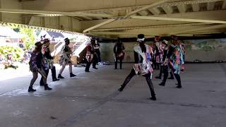 Ledbury Morris dance quotDilwynquot at Upton 2018 [upl. by Hawker]