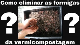 Como eliminar formigas do minhocário 🐜🐜🐜🐜🐜🐜🐜 [upl. by Ainak]