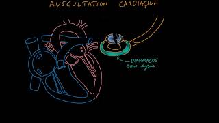 Auscultation cardiaque Partie 1 Introduction Docteur Synapse [upl. by Crutcher]