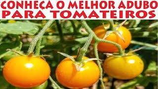 Ponha este Adubo no tomateiro e tenha plantas lindas e frutos vigorosos [upl. by Einahpets676]