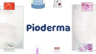 Pioderma [upl. by Ayhdiv820]