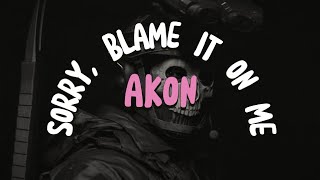 AKON  SORRY BLAME IT ON ME LYRICS [upl. by Ahsoem]