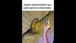 O empreendedor fazendo propaganda memes animaisdublados funnymemes humor comedia [upl. by Elleinaj745]