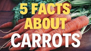 5 Fascinating Facts About Carrots You Never Knew [upl. by Eiramaliehs]