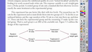 Randomized Comparative Experiments [upl. by Nidroj]