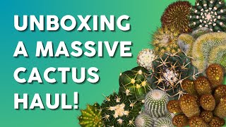 A Collectors Dream Unboxing Over 40 Unique Cacti 🌵 [upl. by Eeladnerb]