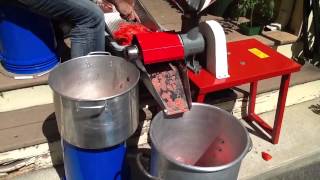 Processing tomatoes  removing water from tomatoes  canning tomato sauce [upl. by Laekcim]