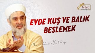 Evde Kuş ve Balık Beslemek  Nureddin Yıldız  fetvameclisicom [upl. by Anialram]