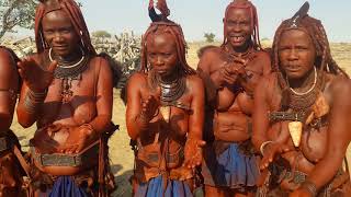 Dances of women of the tribe Himba in Namibia [upl. by Ynogoham]