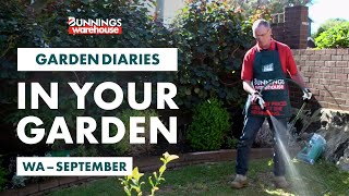 Gardening in September  WA  Bunnings Garden Diary [upl. by Callie]