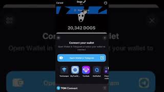 CONNECT YOUR TON WALLET FOR DOGS AIRDROP  How to WITHDRAW DOG AIRDROP 378 [upl. by Lyrrad467]