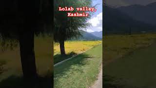 lolab valley kupwara kashmir [upl. by Lulu]