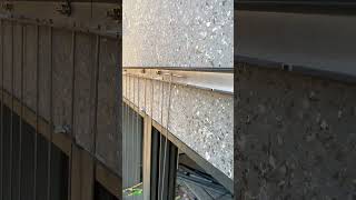 Balcony window guardrail installation process [upl. by Dayir680]