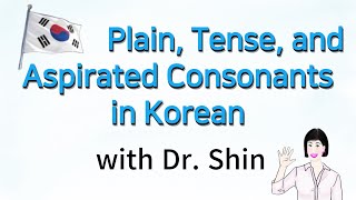 04 Plain Tense and Aspirated Consonants 평음 경음 격음 [upl. by Akinnor77]