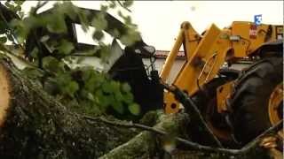 Les dégâts de la tornade à St Hilaire le Vouhis en Vendée [upl. by Annirac854]