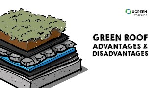 Green Roof Advantages and Disadvantages  Sustainable Design Explained [upl. by Ecirrehs]