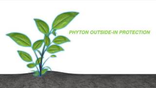 Phyton 27 [upl. by Llert]