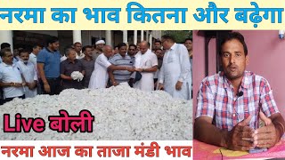 नरमा आज का भाव  kapas ka bhav today  narma ka bhav today  cotton price today  Mandi Bhav [upl. by Ainod100]