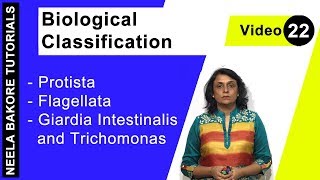 Biological Classification  NEET  Protista  Flagellata  Giardia Intestinalis and Trichomonas [upl. by Nnyleitak]