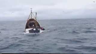 Video Shows Boat Sinking As Crew Rescued [upl. by Nyletac]