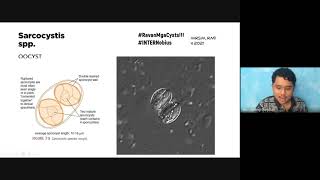 MT 51 Didactics  Parasitology Review Miscellaneous Protozoa Part 2 [upl. by Ocsicnarf672]