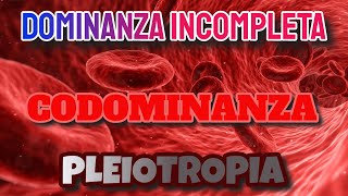 Dominanza incompleta codominanza pleiotropia 🧬 [upl. by Noizneb]