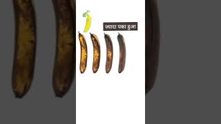 Red Fungus in my Banana 😅 facts upsc motivation [upl. by Astraea]