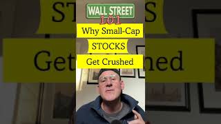 Why Do SmallCap Stocks Get CRUSHED [upl. by Rumney695]