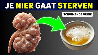 Top 10 Stille Tekenen dat je Nieren aan het Sterven zijn [upl. by Salesin195]