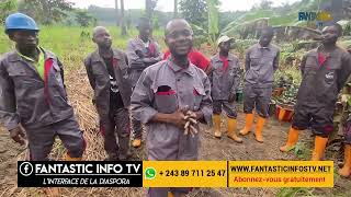 Jai 46 hectares avec 5000 safoutiers au Kongo central Paty Malongo lexemple à suivre [upl. by Guyer263]