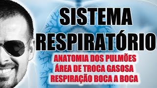 Sistema Respiratório  Anatomia dos Pulmões e RCP  Fisiologia  VideoAula 027 [upl. by Enelloc]