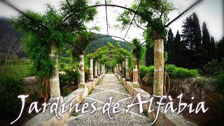 Jardines de Alfàbia Mallorca 4K  Die Gärten von Alfabia [upl. by Anihpesoj]