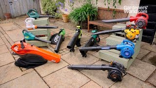 A buyers guide to leaf blowervacuums [upl. by Pennie817]