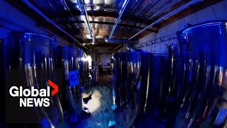 Inside a cryonics facility preserving terminallyill people and pets to wake up in the future [upl. by Nivram]