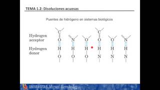 Lec121 El agua y los puentes de hidrogeno umh1025 201516 [upl. by Thant]