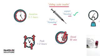 Types of Insulin and How It Works [upl. by Consalve]