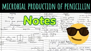 Microbial Production of penicillinNotes 😎🤩🤩 [upl. by Race]