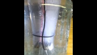 Electrolysis of Water and Hydrogen Explosion [upl. by Laidlaw]