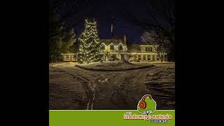 Professional holiday lighting [upl. by Tedmann]