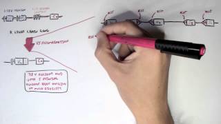 Immunology  Antibody Somatic VDJ Recombination II [upl. by Oiraved130]