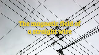 Magnetism The magnetic field of a straight wire [upl. by Willmert]