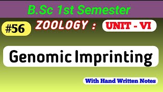 Genomic Imprinting  Genetics  what is genomicimprinting bsc msc genomic bsczoology bscclas [upl. by Delores]